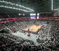 篮球赛事中出现令人匪夷所思的奇观是什么